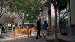 Менталист 1 сезон 21 серия